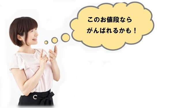 この値段ならがんばれるかも